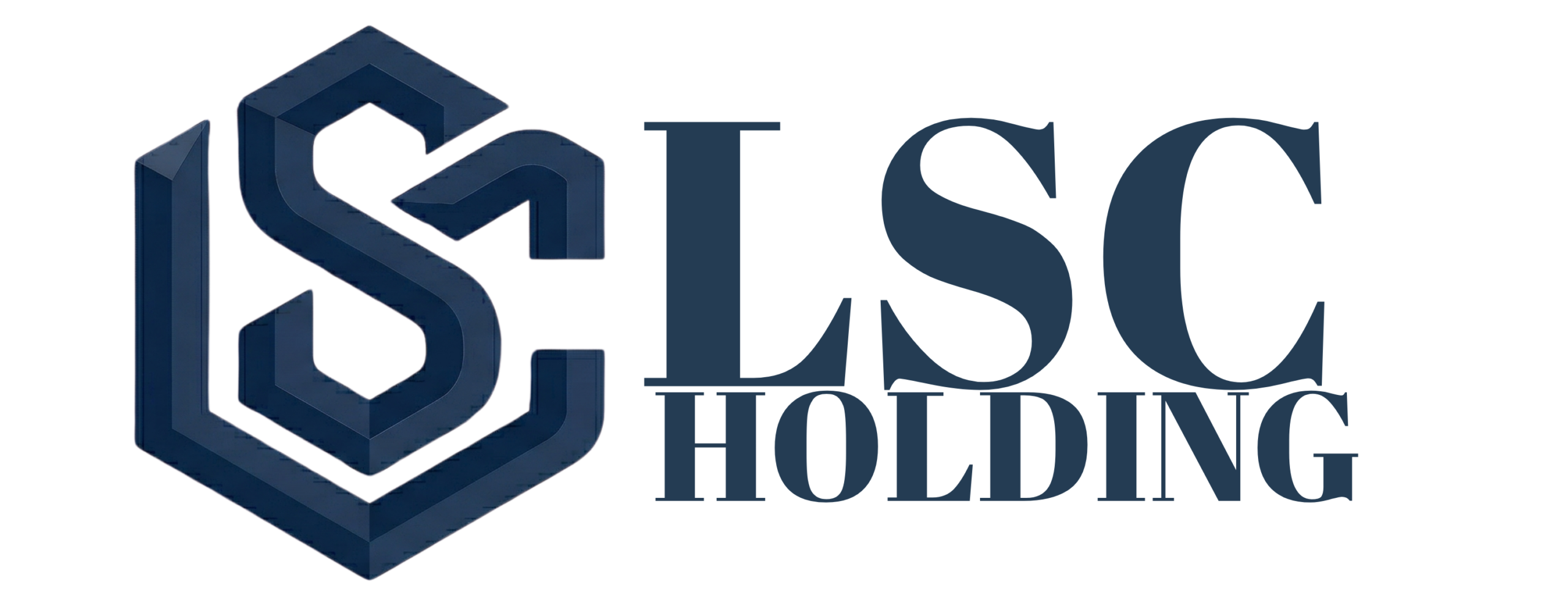 LSC Holding